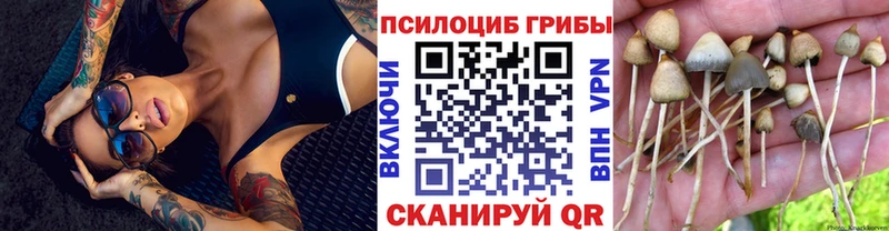 Галлюциногенные грибы Cubensis как найти Новомичуринск